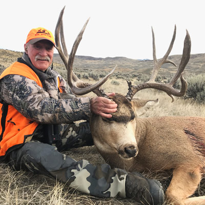 mule deer