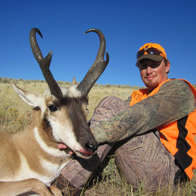 pronghorn antelope