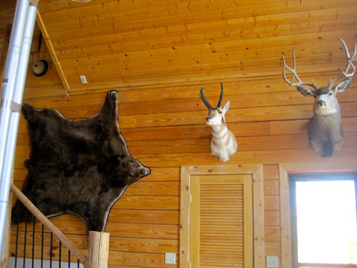 the lodge