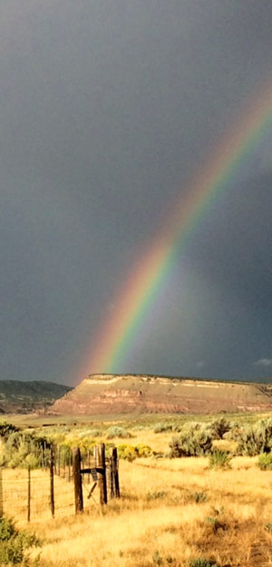 rainbow